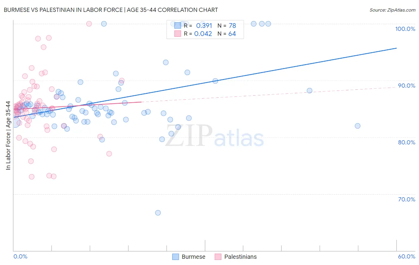 Burmese vs Palestinian In Labor Force | Age 35-44