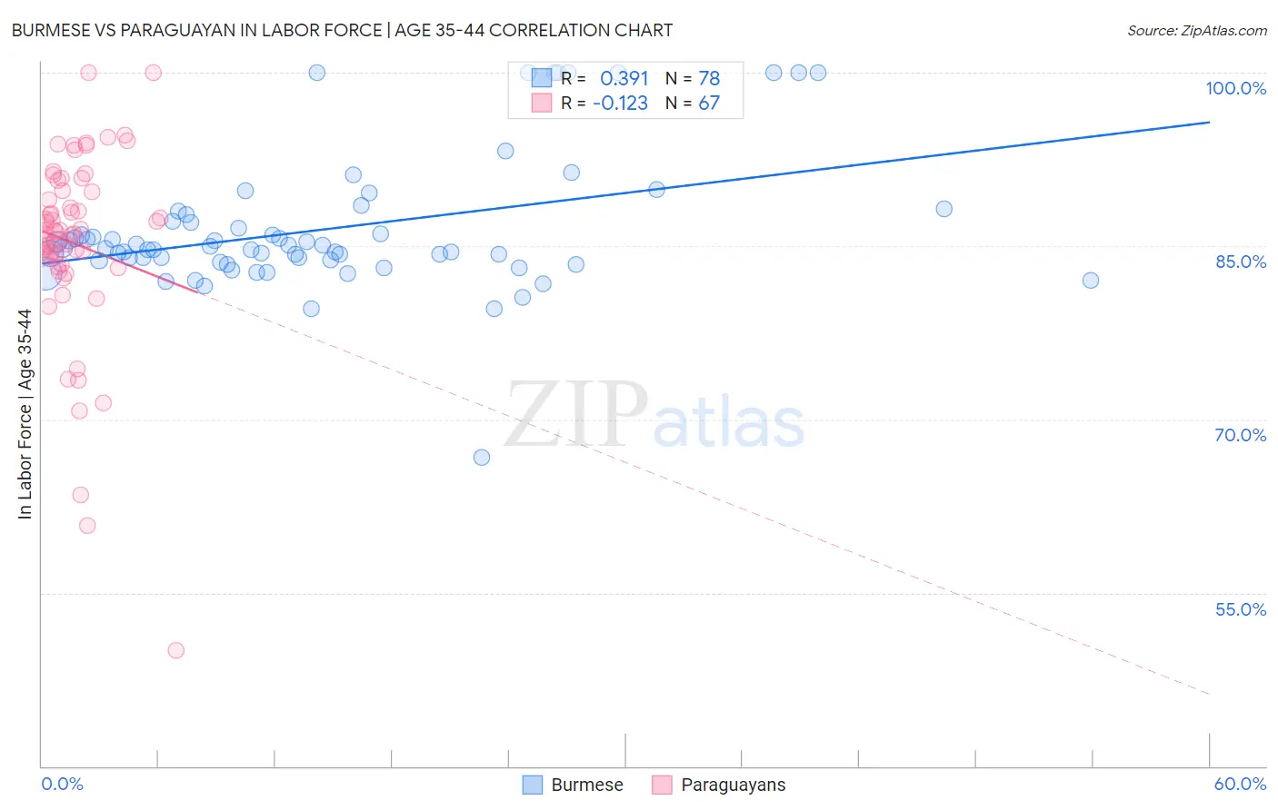 Burmese vs Paraguayan In Labor Force | Age 35-44