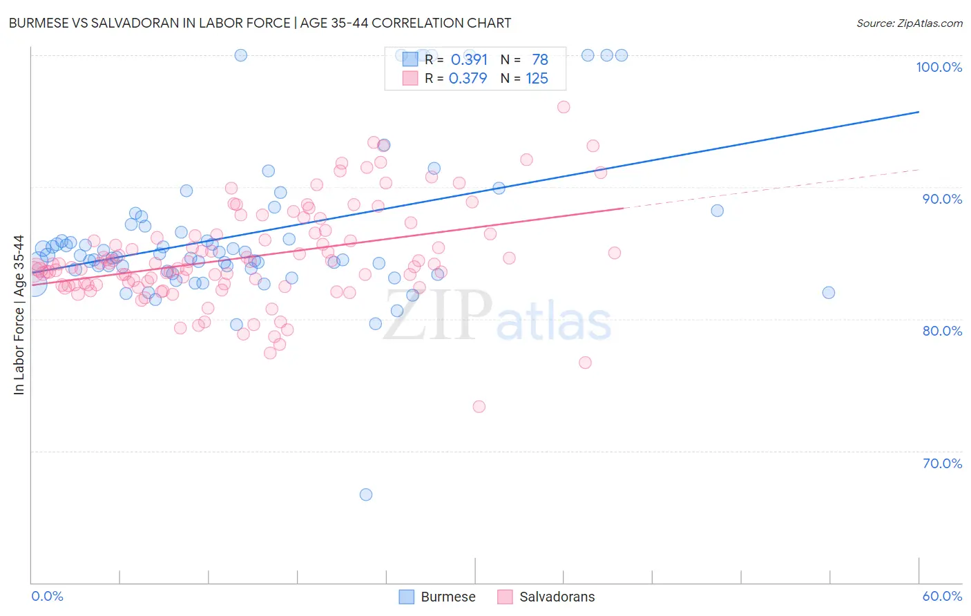 Burmese vs Salvadoran In Labor Force | Age 35-44