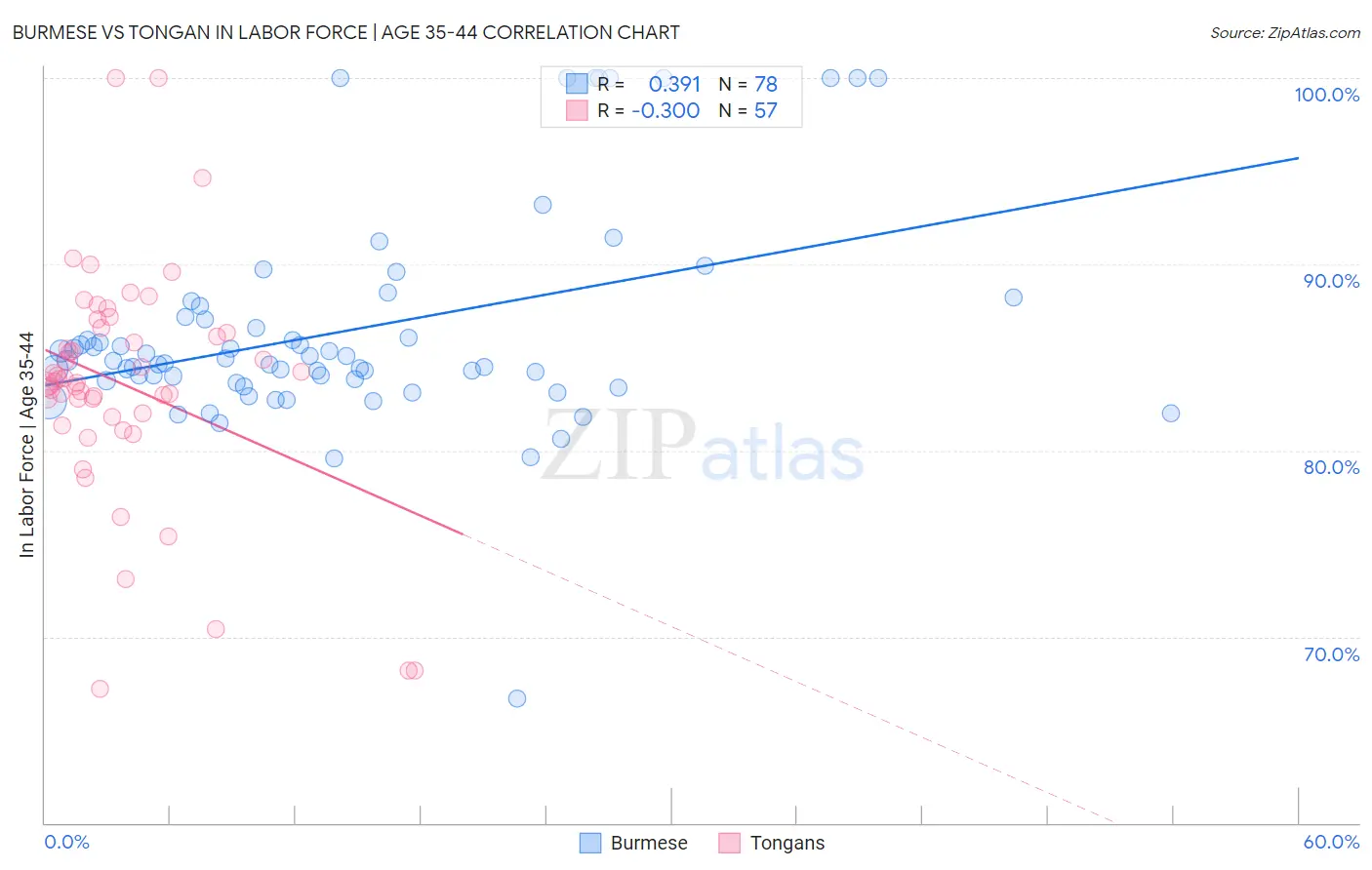 Burmese vs Tongan In Labor Force | Age 35-44