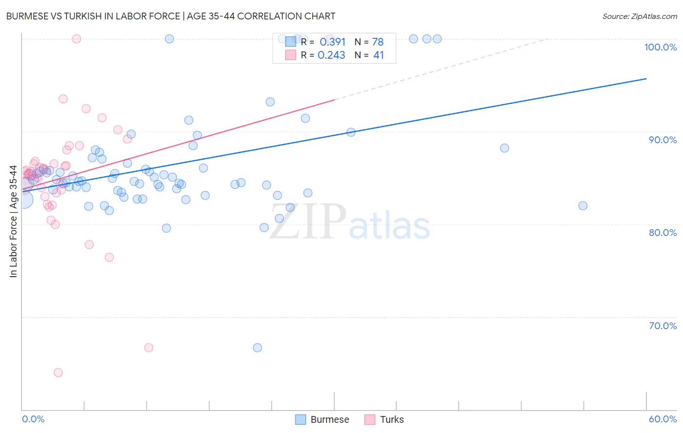 Burmese vs Turkish In Labor Force | Age 35-44
