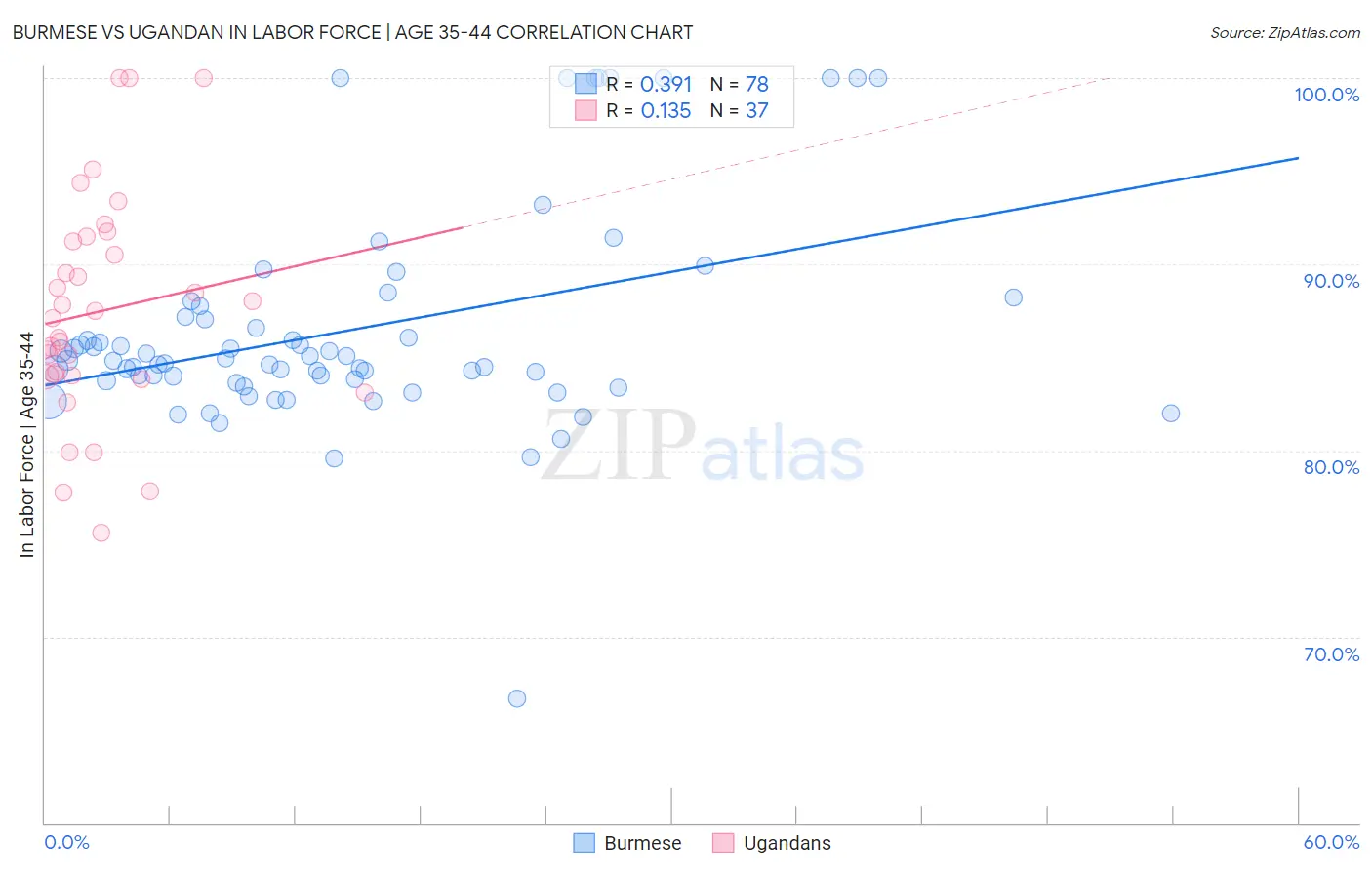 Burmese vs Ugandan In Labor Force | Age 35-44
