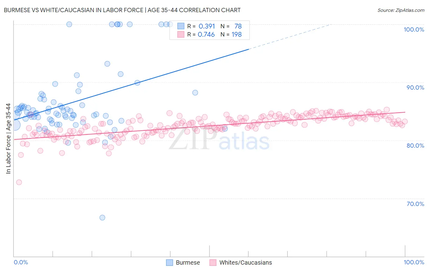 Burmese vs White/Caucasian In Labor Force | Age 35-44