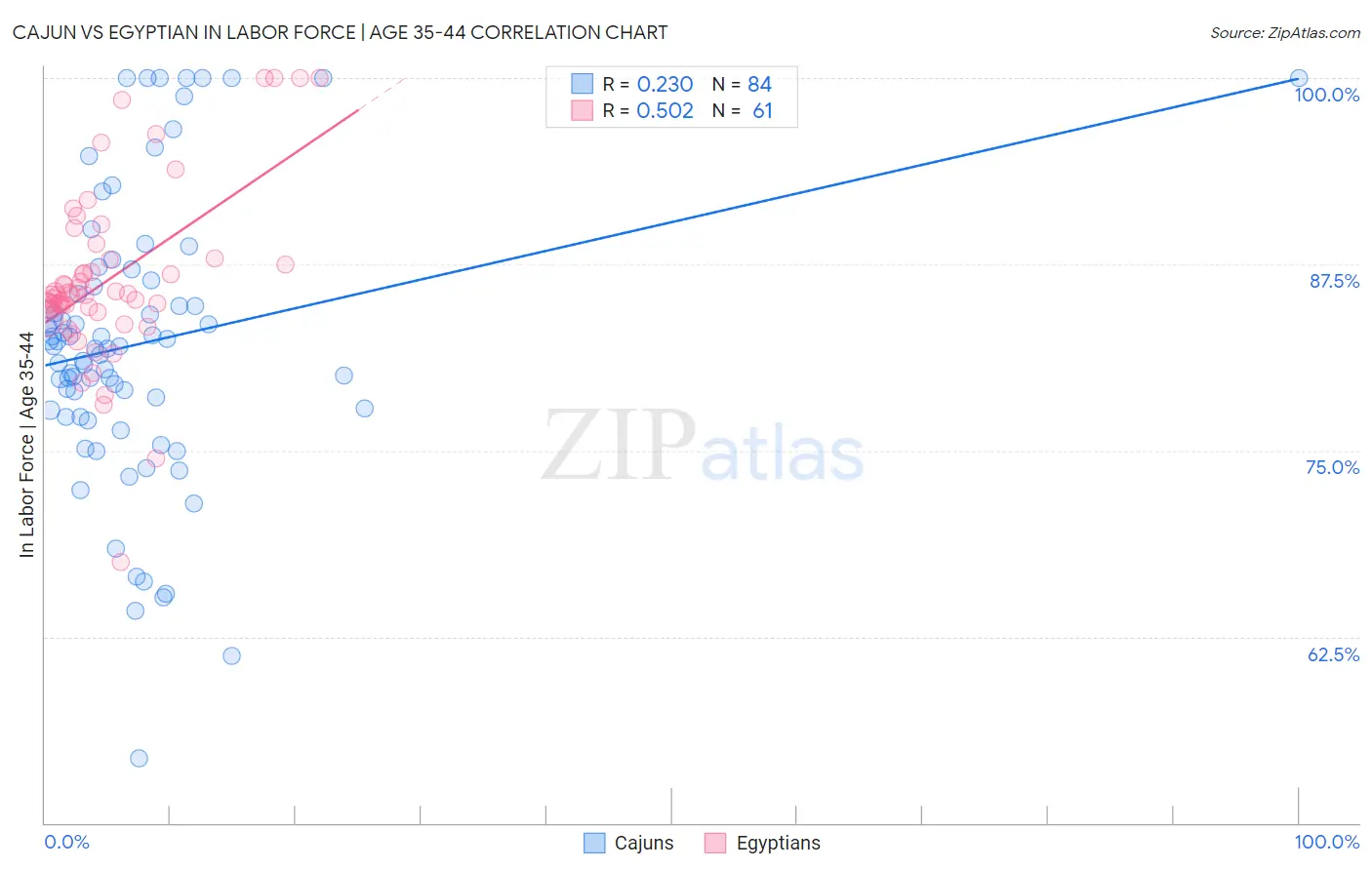 Cajun vs Egyptian In Labor Force | Age 35-44