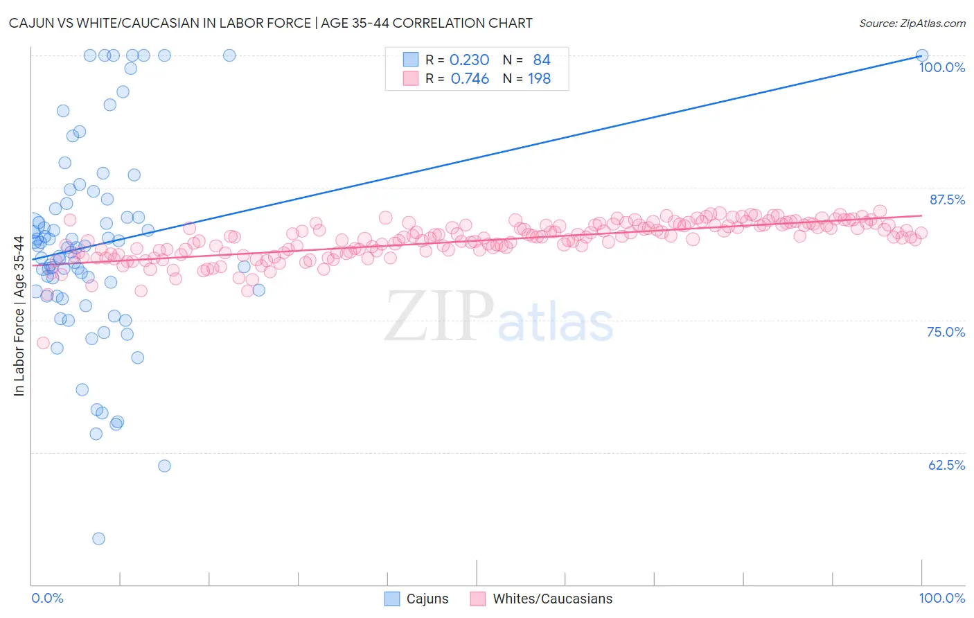 Cajun vs White/Caucasian In Labor Force | Age 35-44