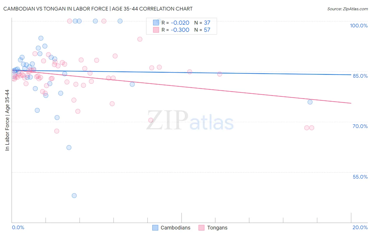 Cambodian vs Tongan In Labor Force | Age 35-44