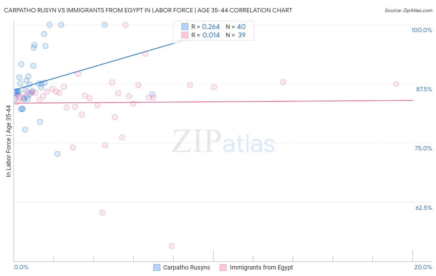 Carpatho Rusyn vs Immigrants from Egypt In Labor Force | Age 35-44