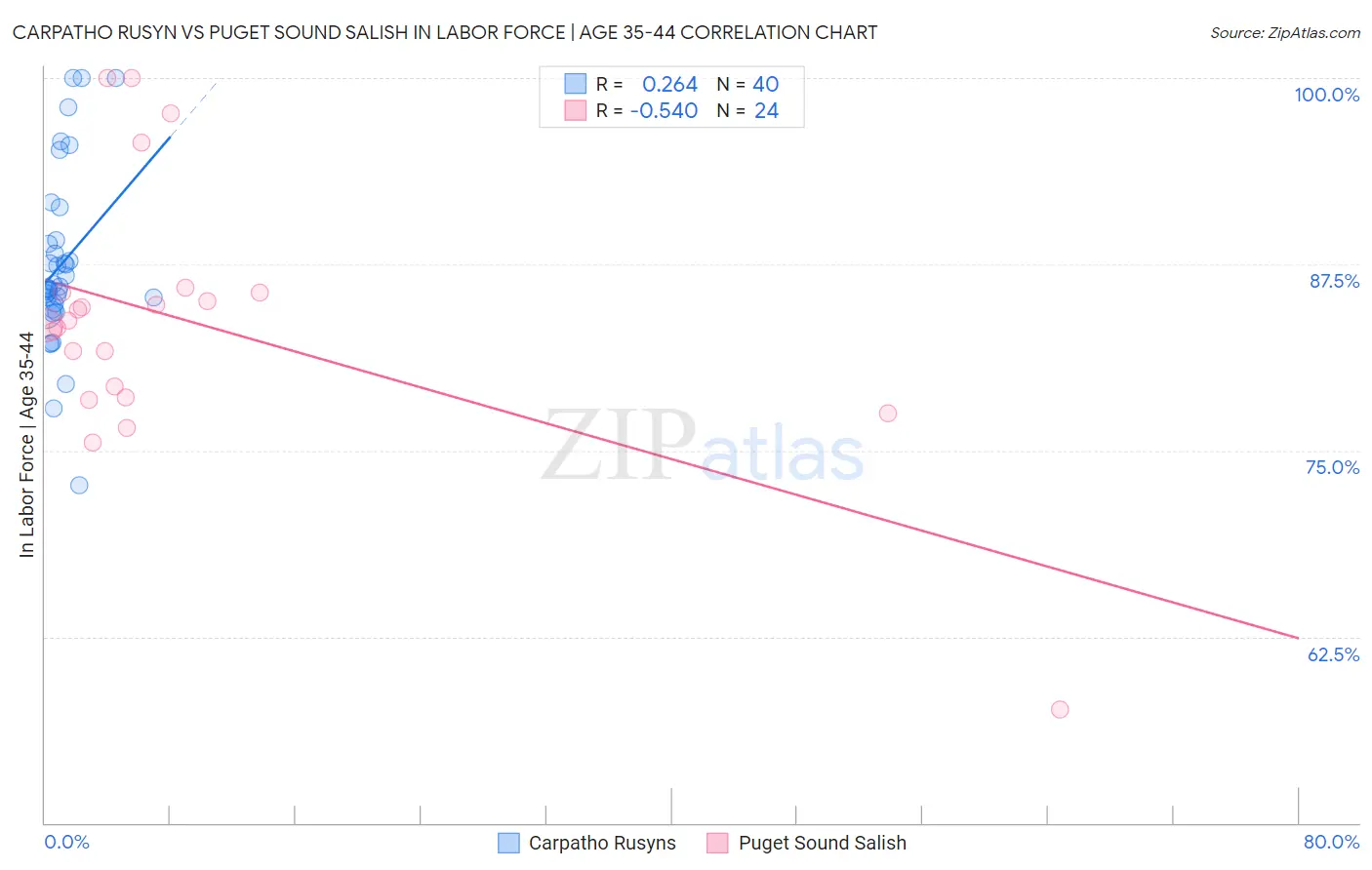 Carpatho Rusyn vs Puget Sound Salish In Labor Force | Age 35-44