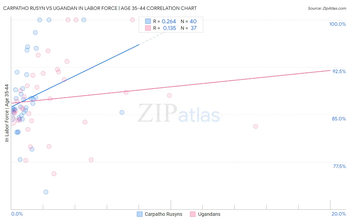 Carpatho Rusyn vs Ugandan In Labor Force | Age 35-44