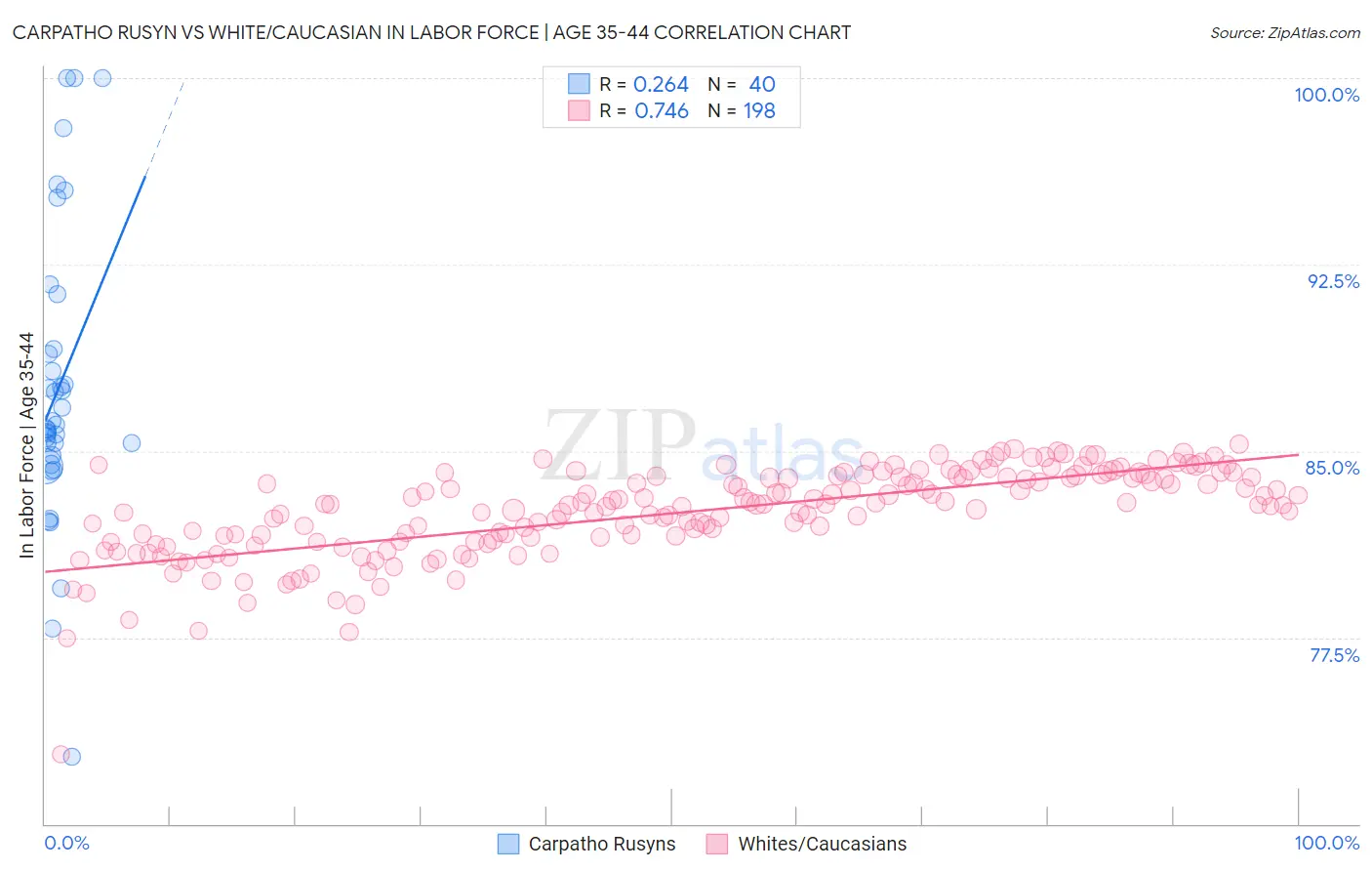 Carpatho Rusyn vs White/Caucasian In Labor Force | Age 35-44