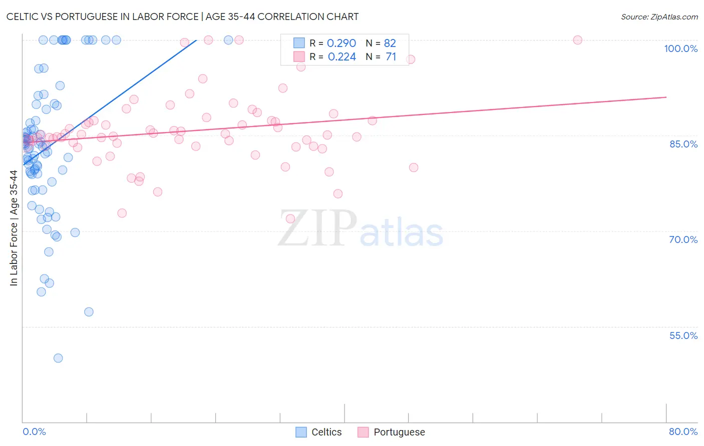 Celtic vs Portuguese In Labor Force | Age 35-44