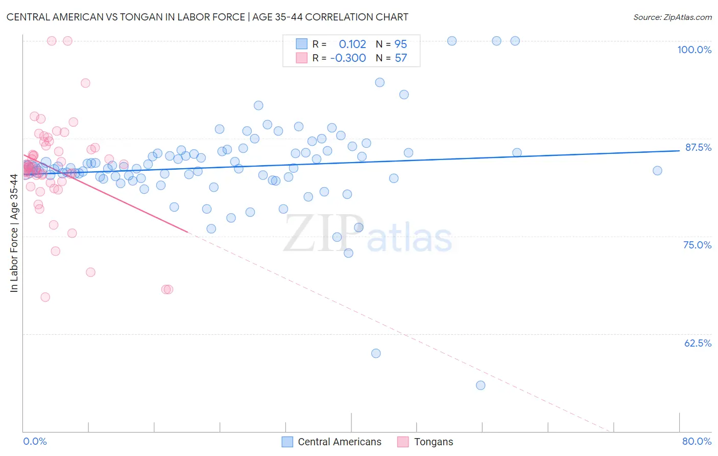 Central American vs Tongan In Labor Force | Age 35-44