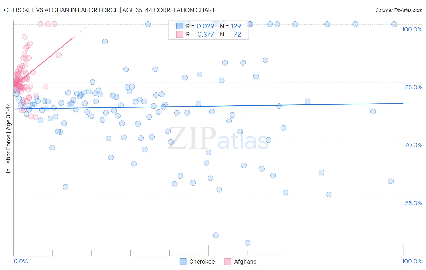 Cherokee vs Afghan In Labor Force | Age 35-44
