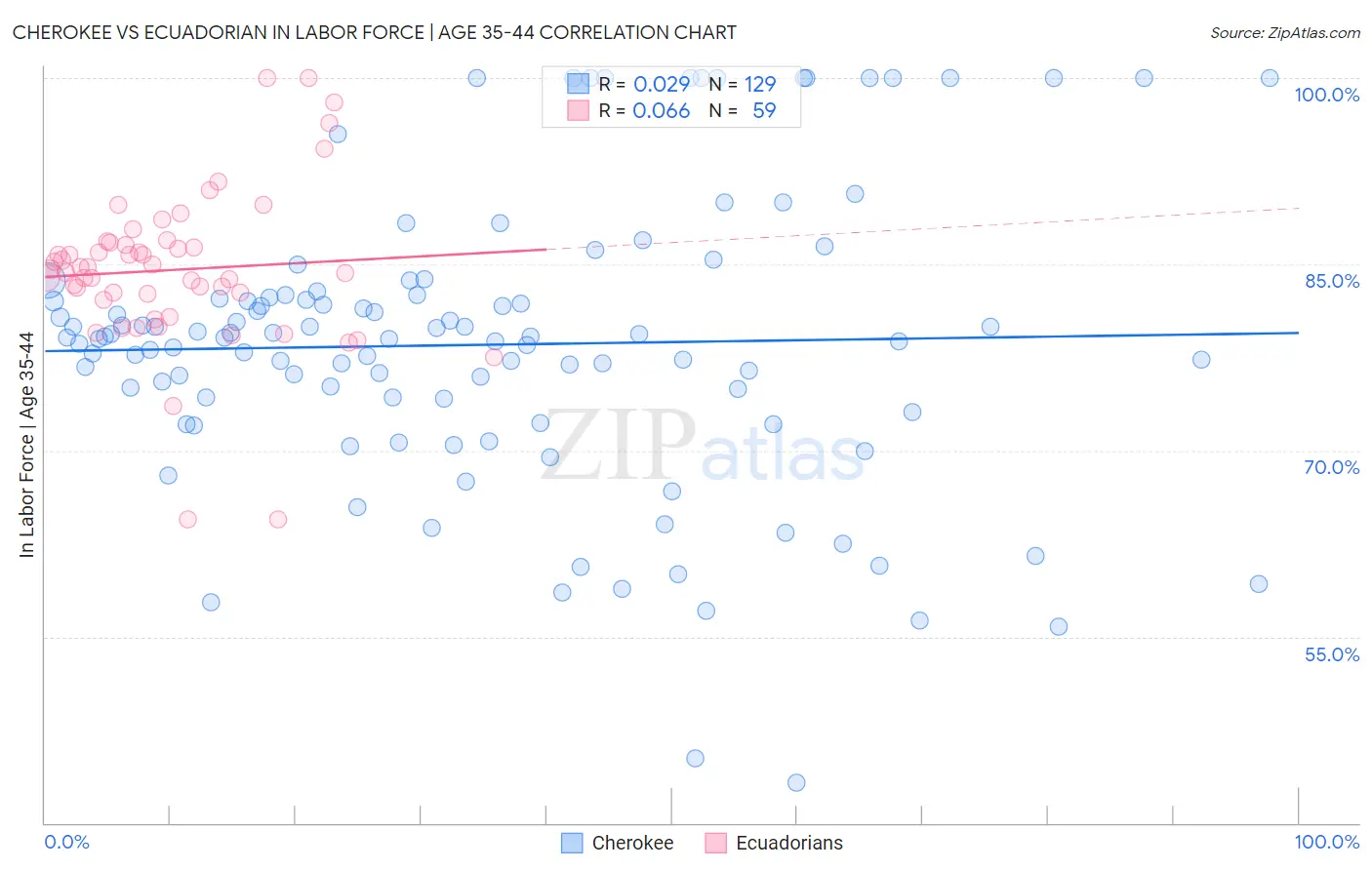 Cherokee vs Ecuadorian In Labor Force | Age 35-44