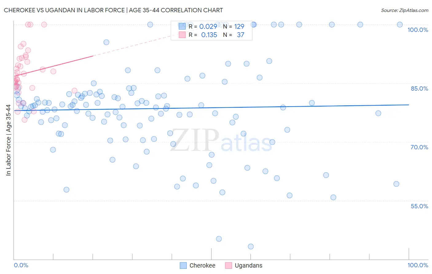 Cherokee vs Ugandan In Labor Force | Age 35-44