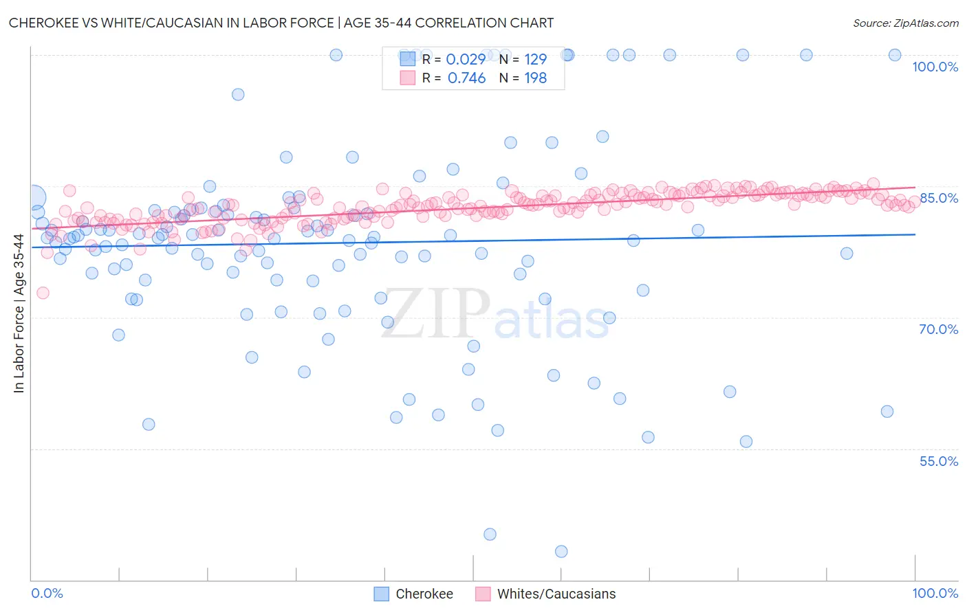 Cherokee vs White/Caucasian In Labor Force | Age 35-44