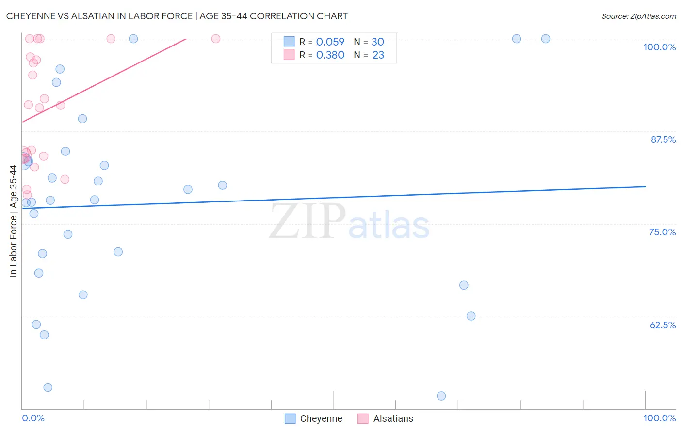 Cheyenne vs Alsatian In Labor Force | Age 35-44