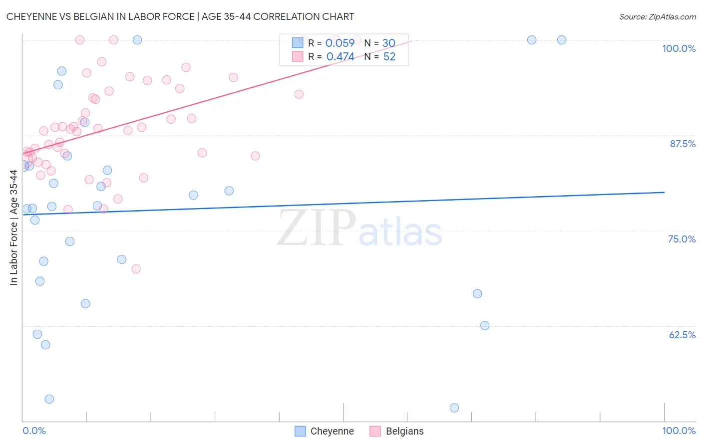 Cheyenne vs Belgian In Labor Force | Age 35-44