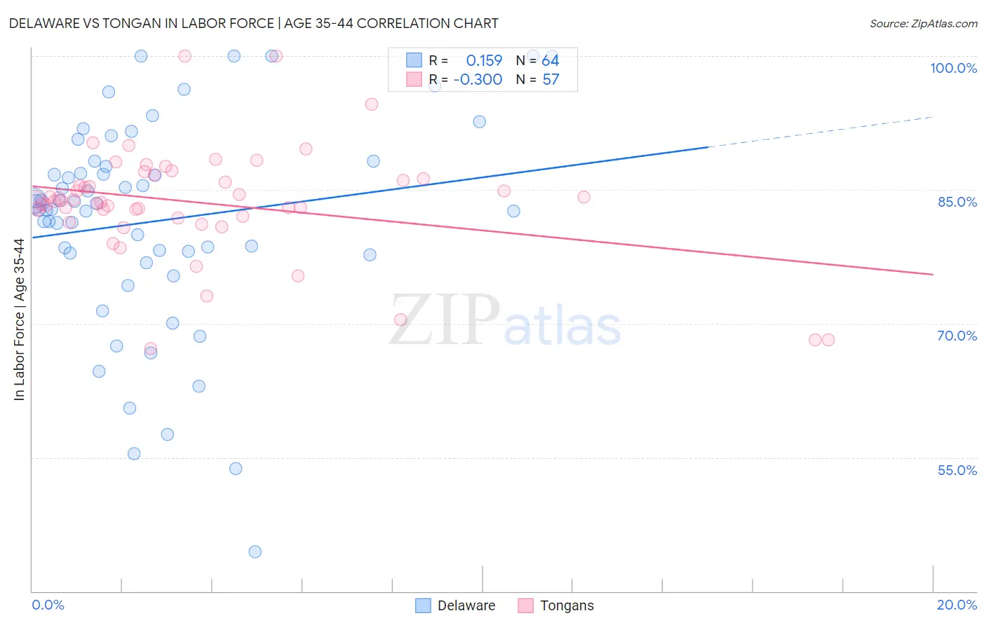 Delaware vs Tongan In Labor Force | Age 35-44