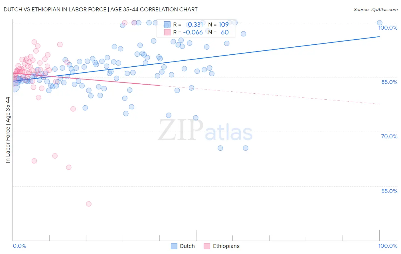 Dutch vs Ethiopian In Labor Force | Age 35-44