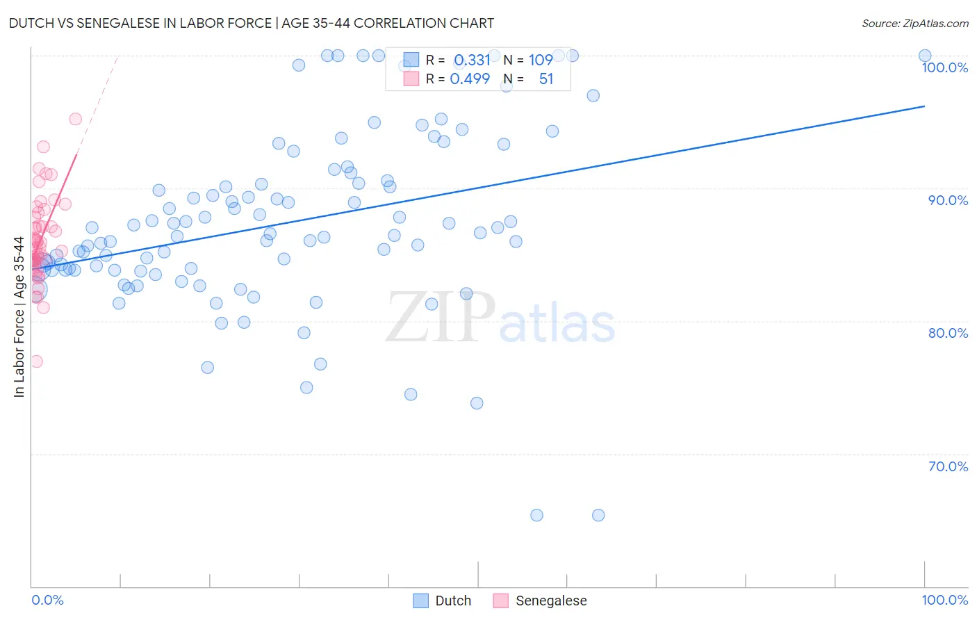 Dutch vs Senegalese In Labor Force | Age 35-44