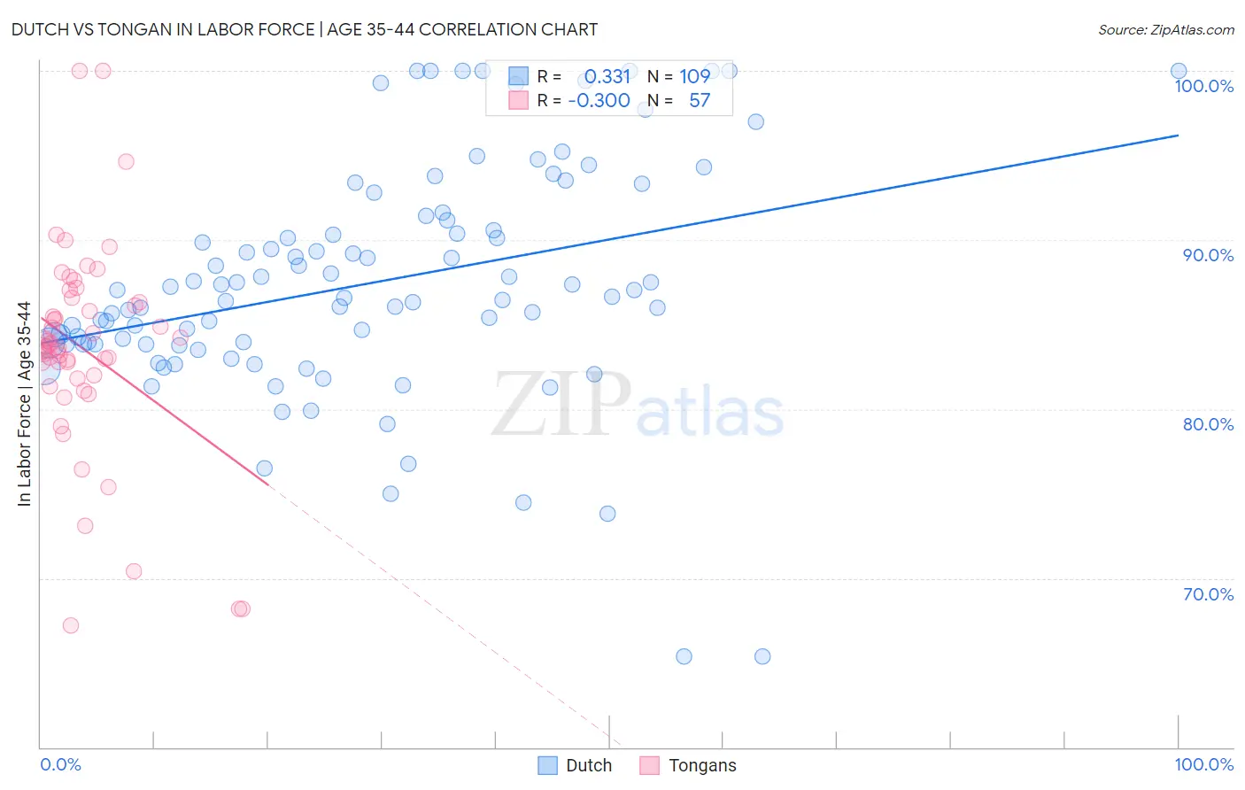 Dutch vs Tongan In Labor Force | Age 35-44