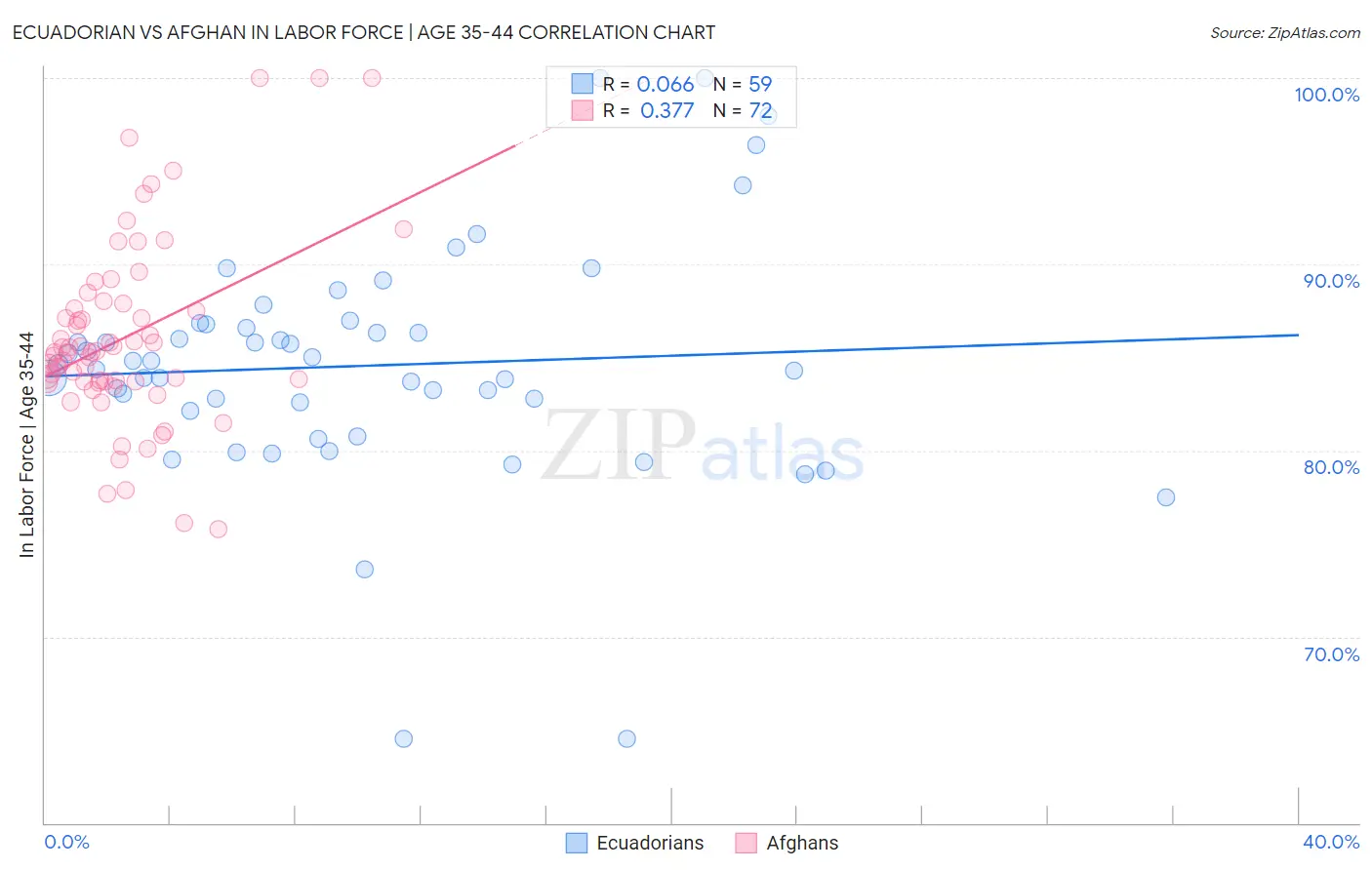 Ecuadorian vs Afghan In Labor Force | Age 35-44