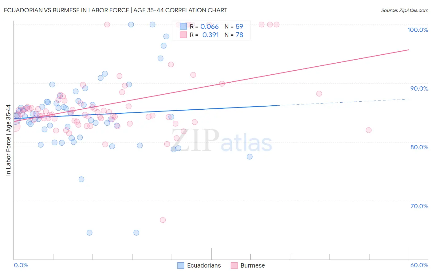 Ecuadorian vs Burmese In Labor Force | Age 35-44