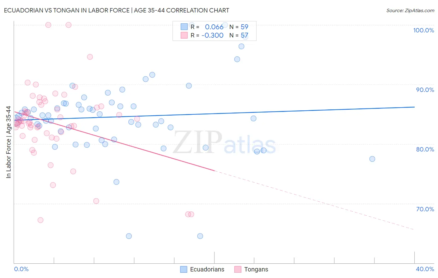 Ecuadorian vs Tongan In Labor Force | Age 35-44
