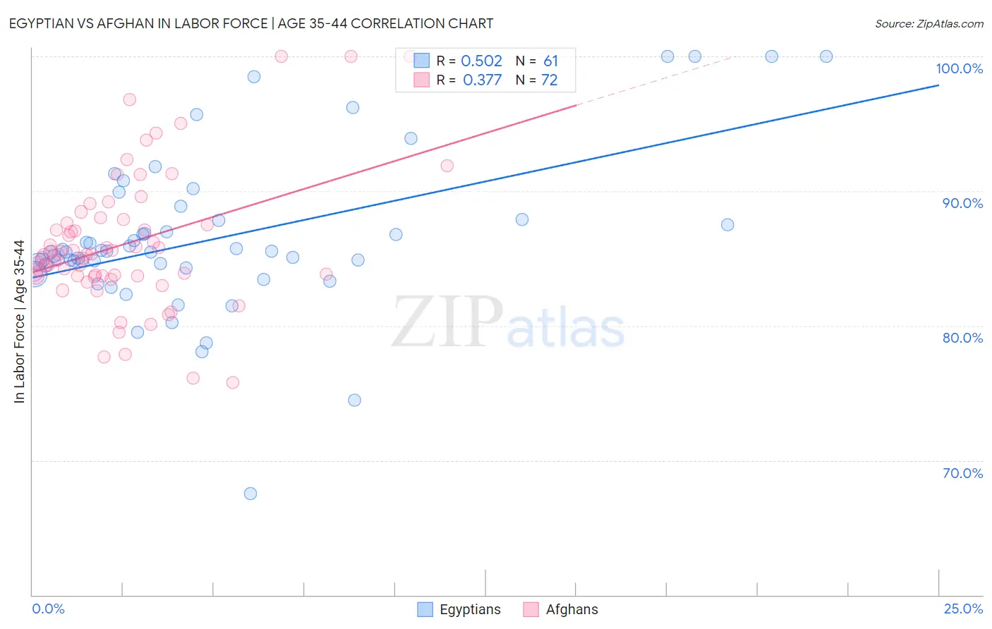 Egyptian vs Afghan In Labor Force | Age 35-44