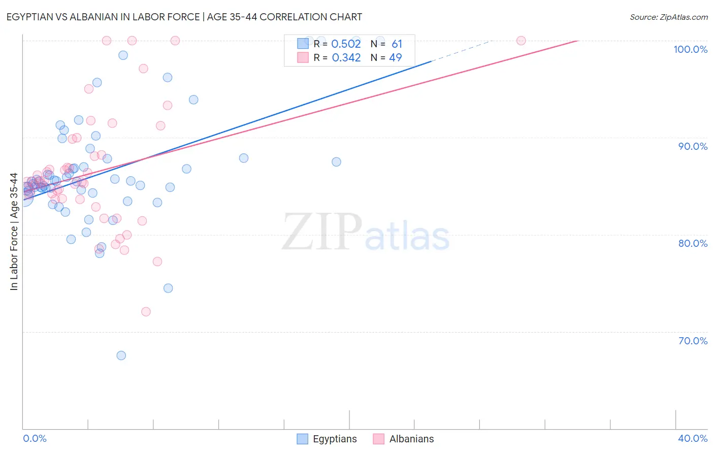 Egyptian vs Albanian In Labor Force | Age 35-44
