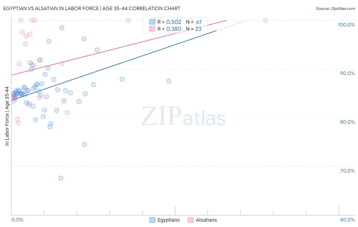 Egyptian vs Alsatian In Labor Force | Age 35-44