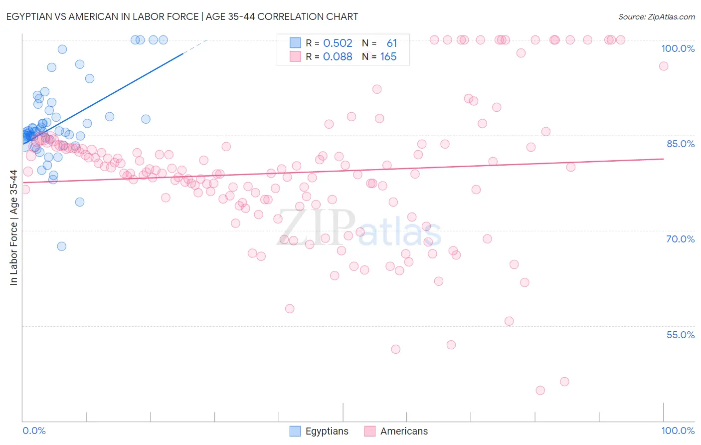 Egyptian vs American In Labor Force | Age 35-44