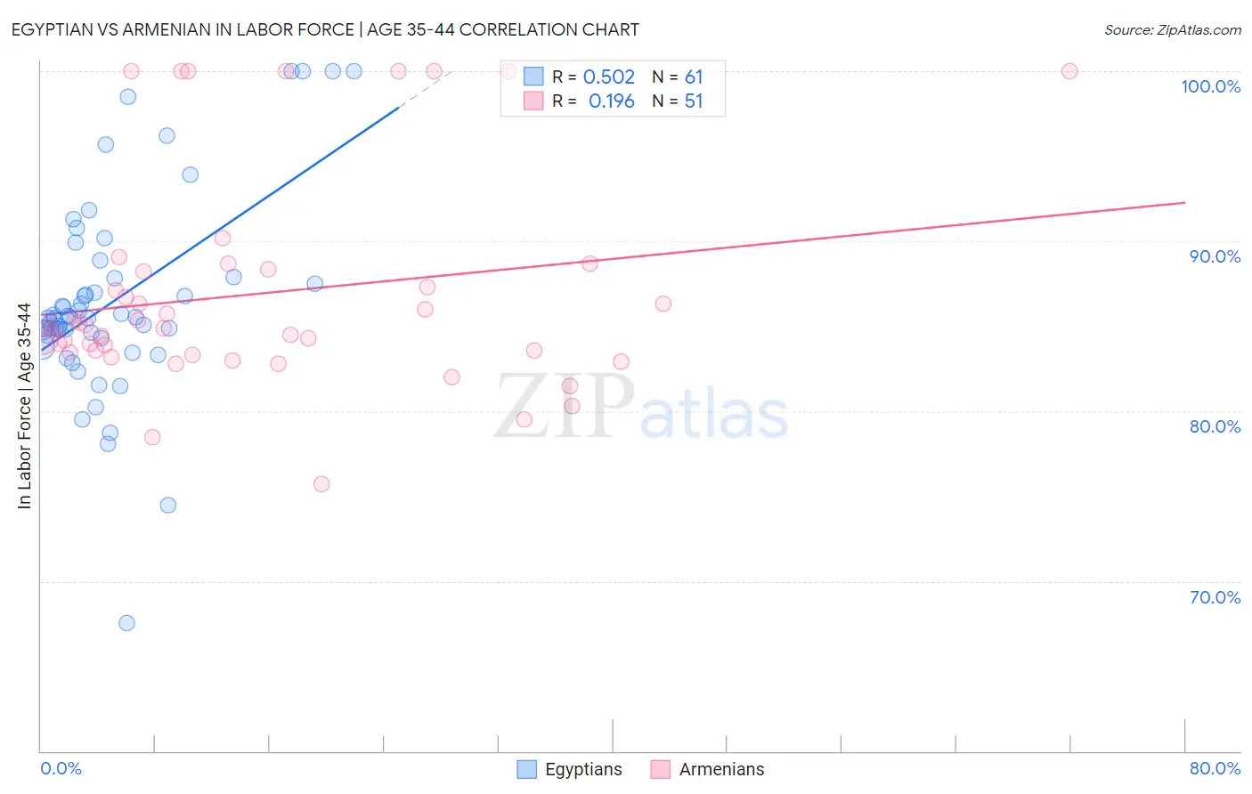 Egyptian vs Armenian In Labor Force | Age 35-44
