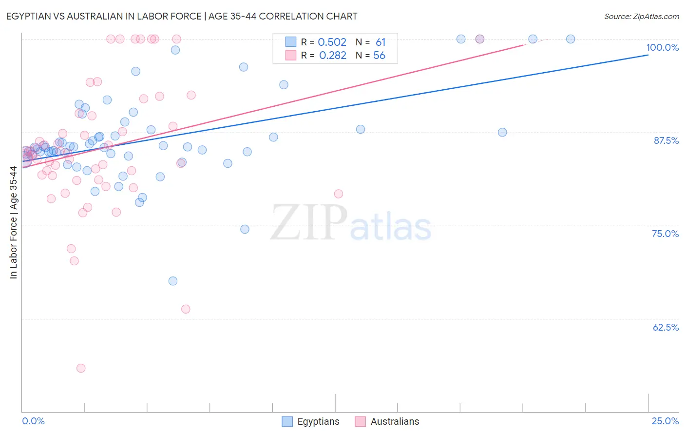 Egyptian vs Australian In Labor Force | Age 35-44