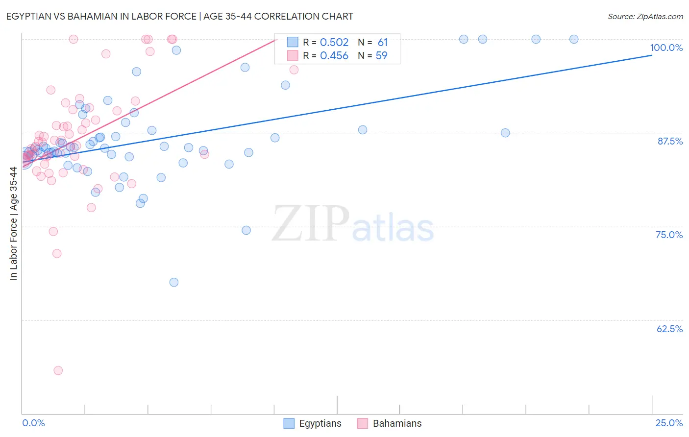 Egyptian vs Bahamian In Labor Force | Age 35-44