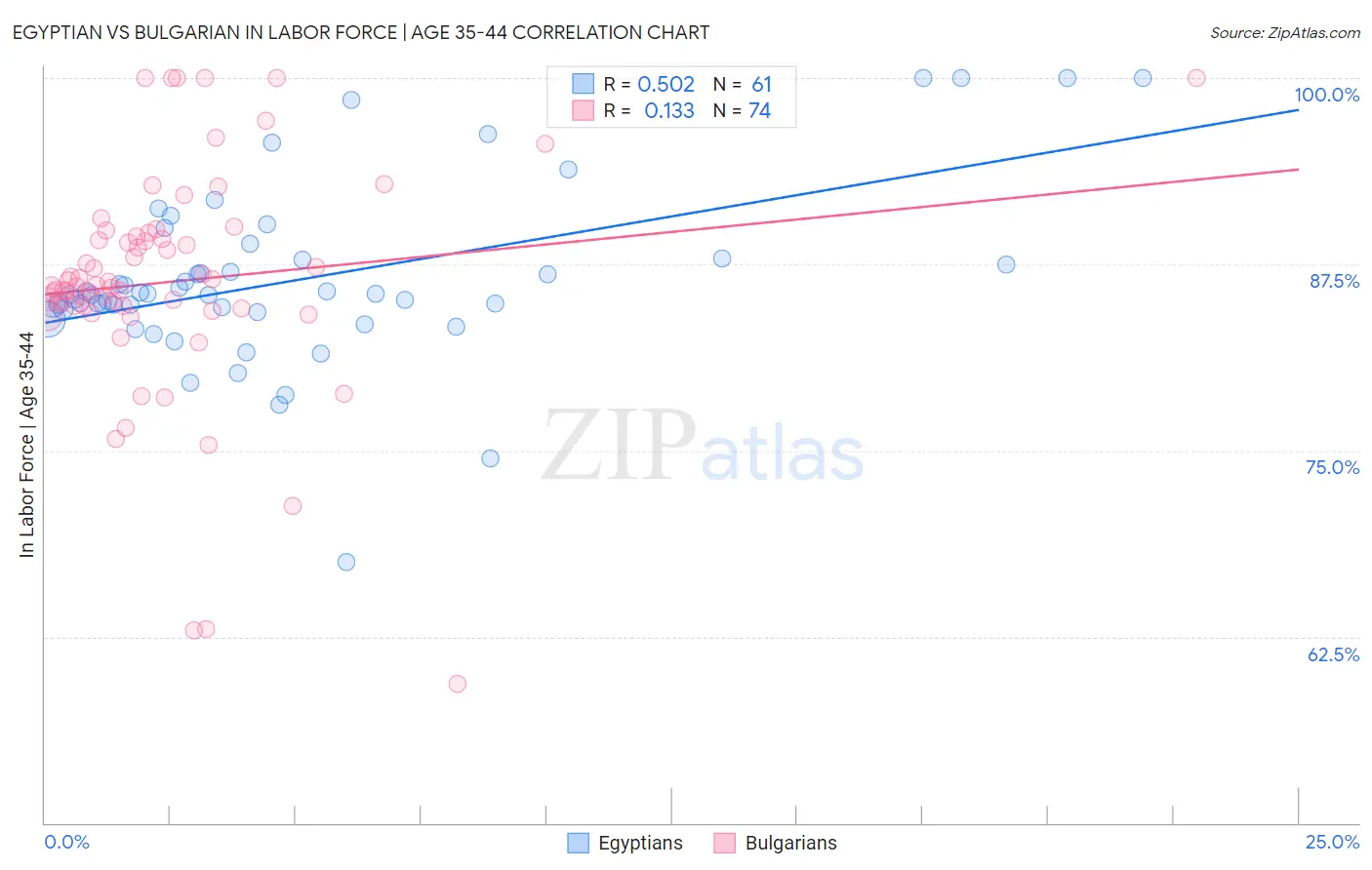 Egyptian vs Bulgarian In Labor Force | Age 35-44