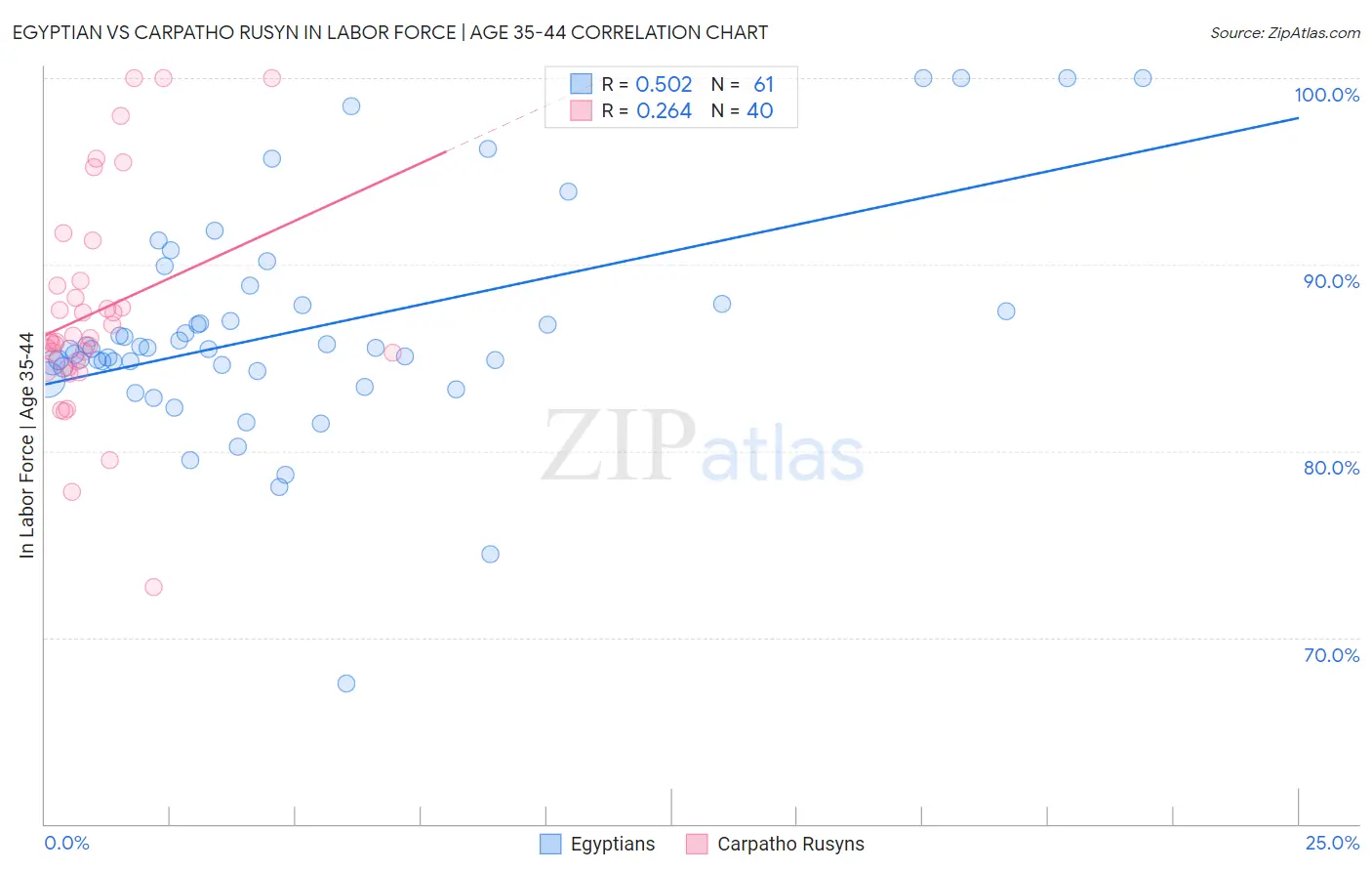 Egyptian vs Carpatho Rusyn In Labor Force | Age 35-44