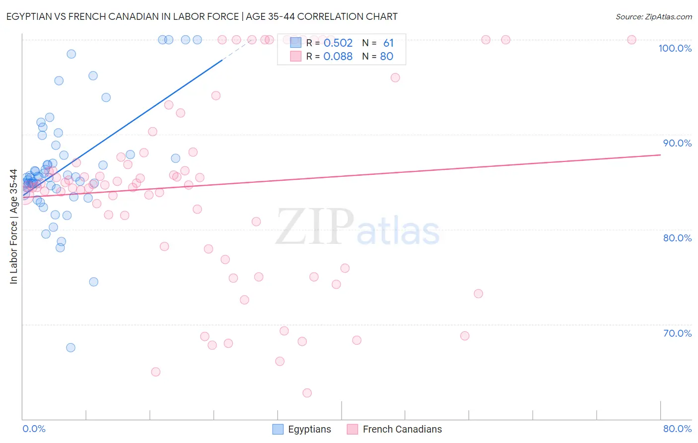 Egyptian vs French Canadian In Labor Force | Age 35-44