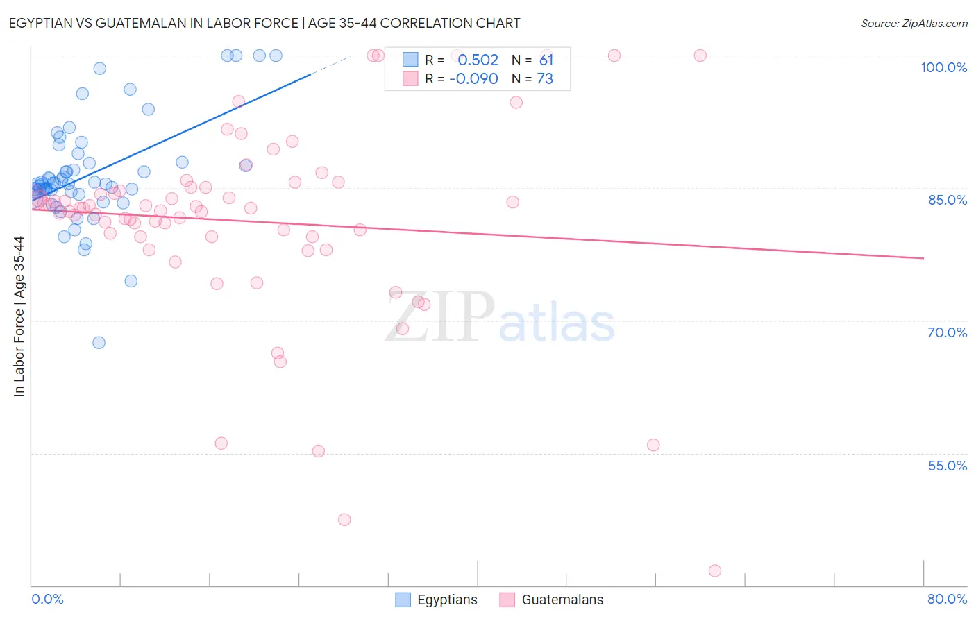 Egyptian vs Guatemalan In Labor Force | Age 35-44