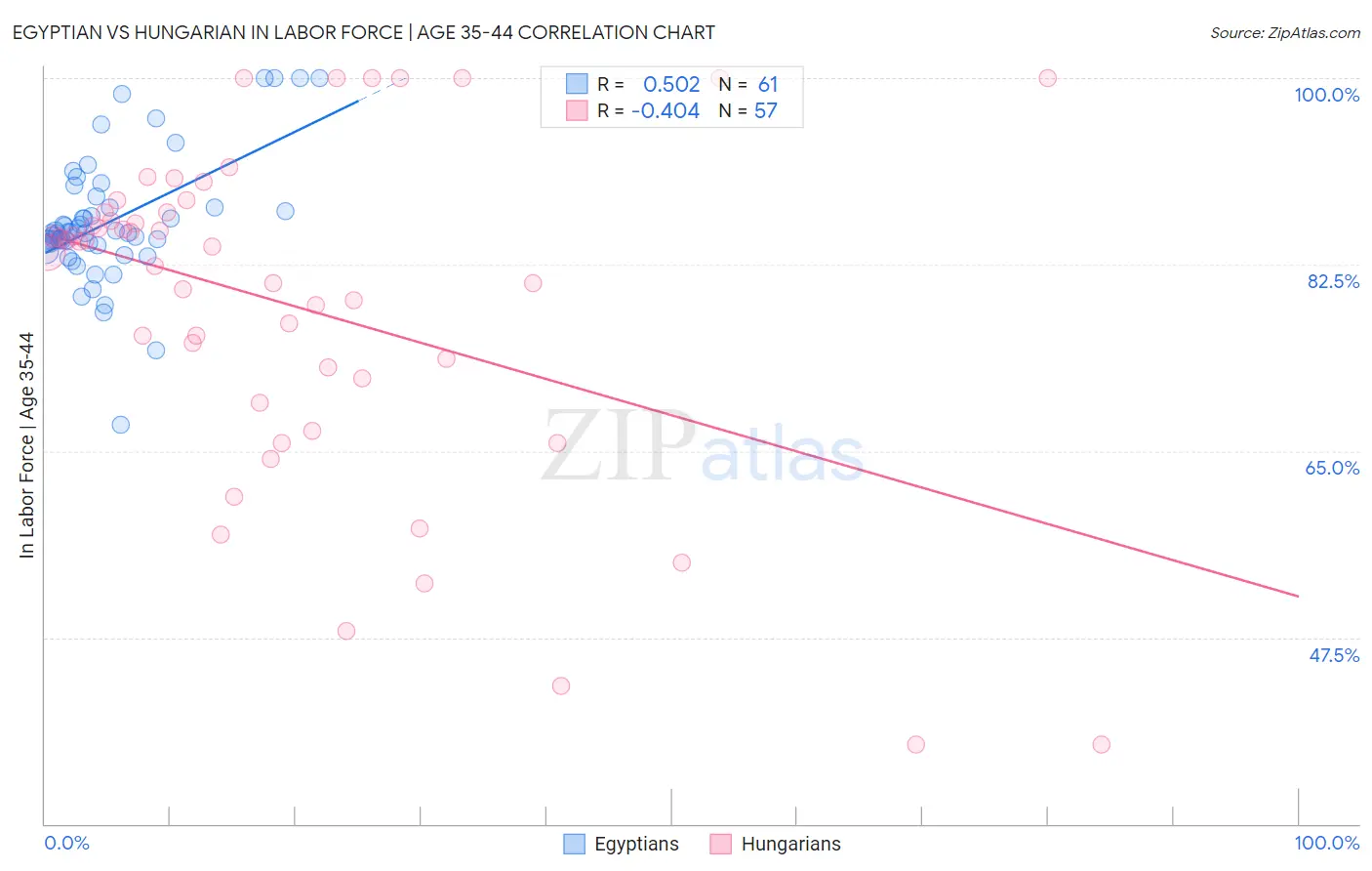 Egyptian vs Hungarian In Labor Force | Age 35-44
