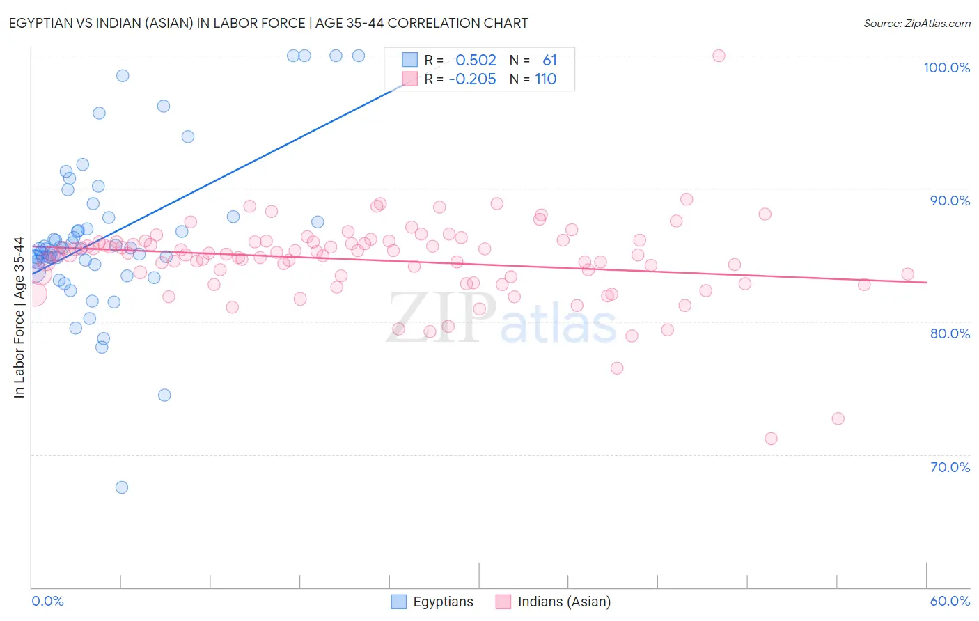 Egyptian vs Indian (Asian) In Labor Force | Age 35-44