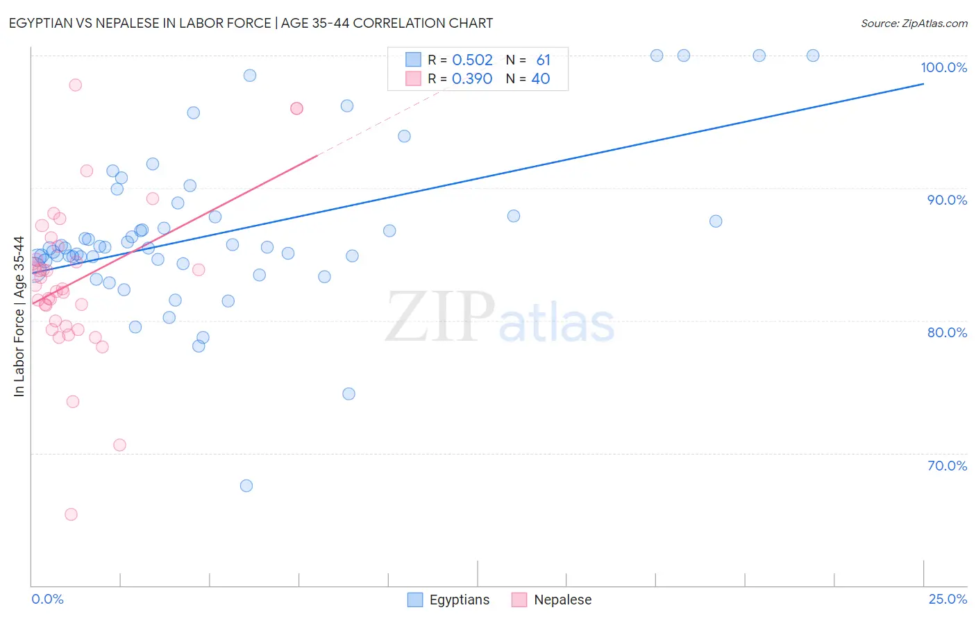 Egyptian vs Nepalese In Labor Force | Age 35-44