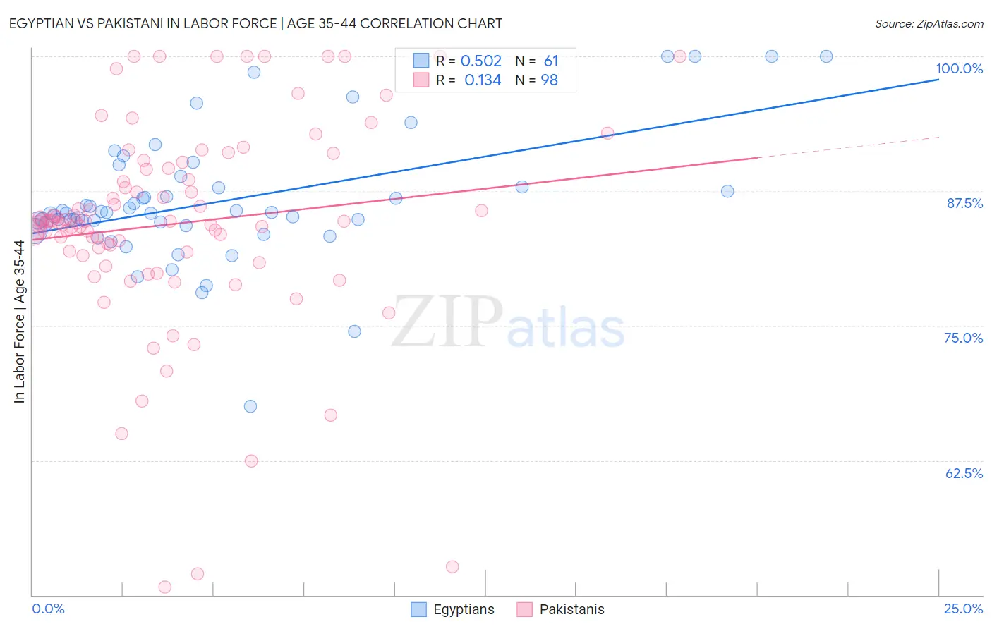 Egyptian vs Pakistani In Labor Force | Age 35-44