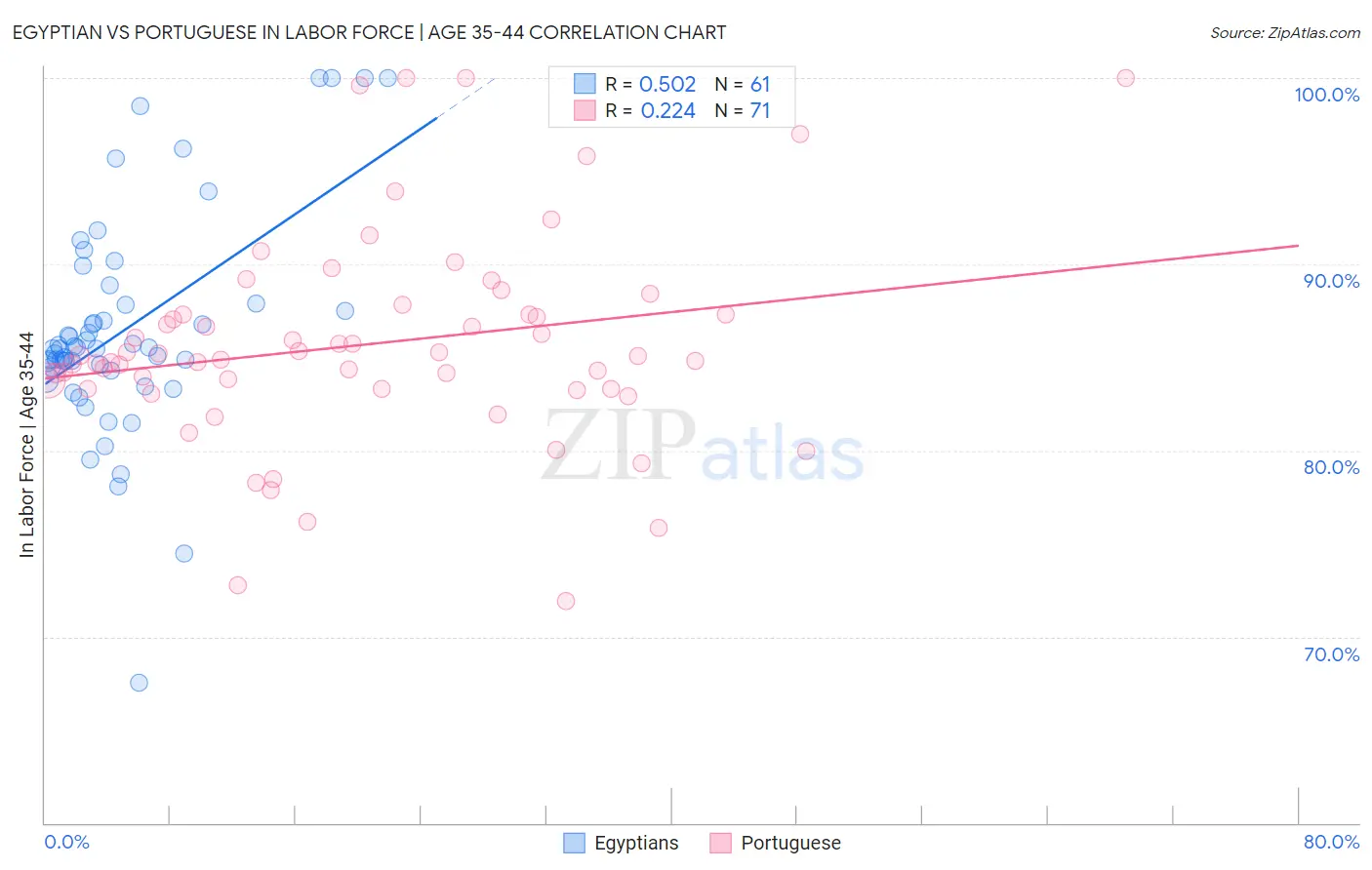 Egyptian vs Portuguese In Labor Force | Age 35-44