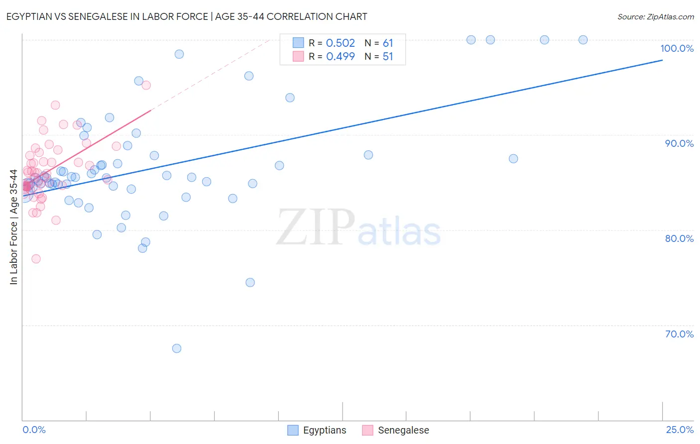 Egyptian vs Senegalese In Labor Force | Age 35-44