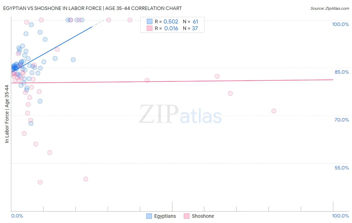Egyptian vs Shoshone In Labor Force | Age 35-44