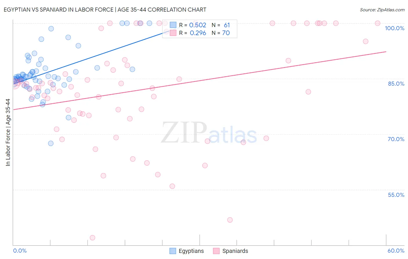 Egyptian vs Spaniard In Labor Force | Age 35-44