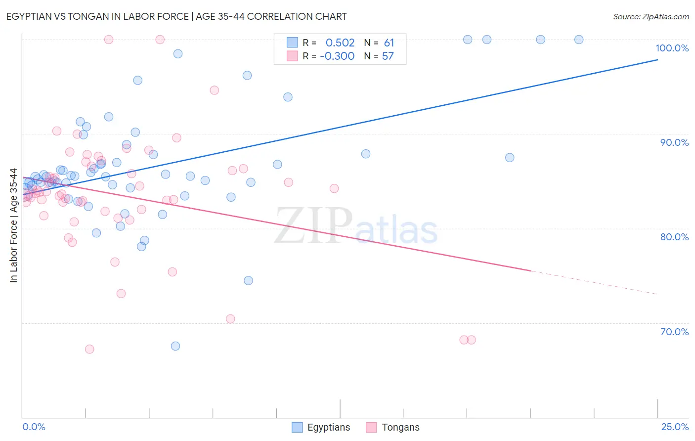 Egyptian vs Tongan In Labor Force | Age 35-44