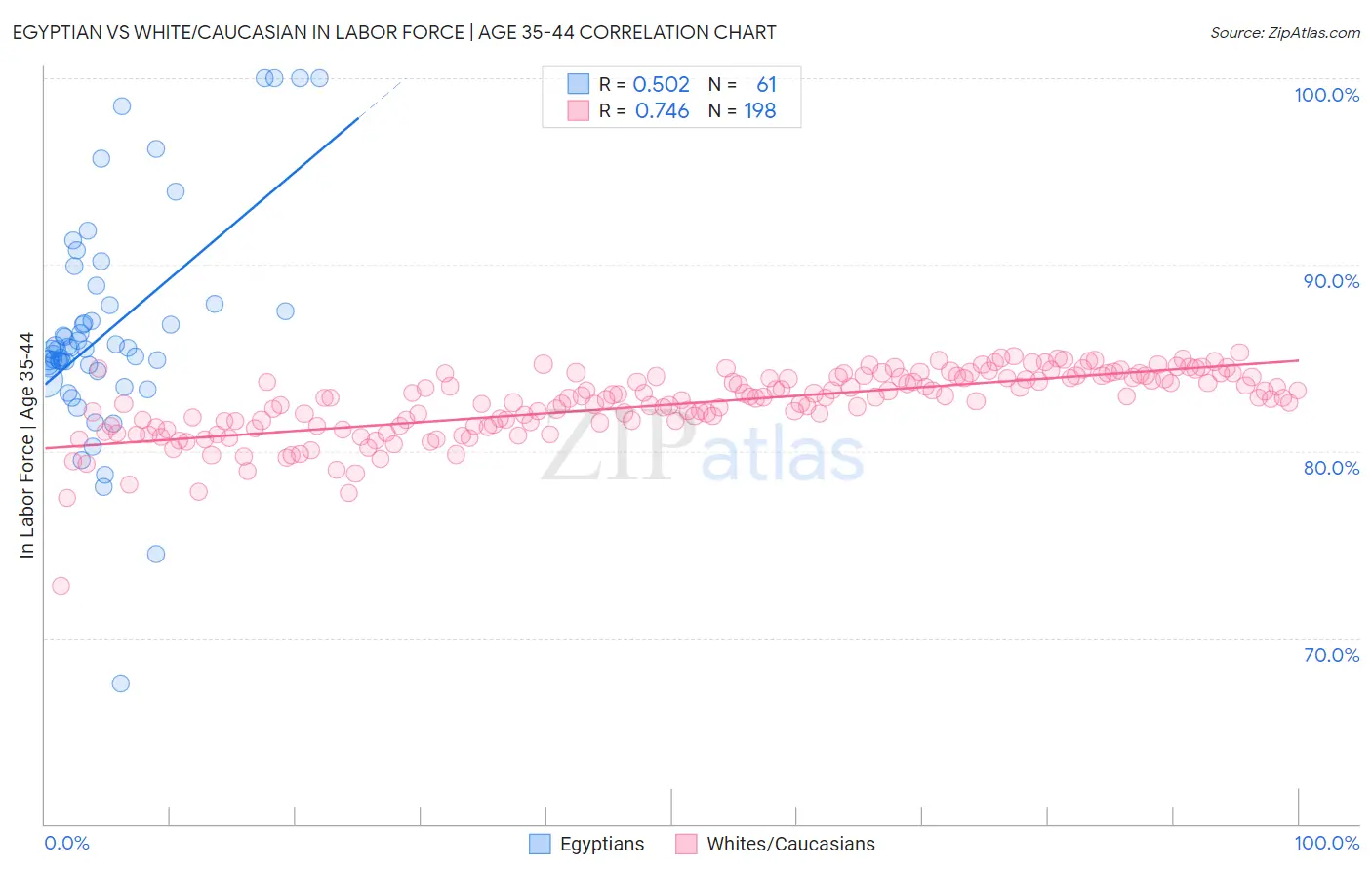 Egyptian vs White/Caucasian In Labor Force | Age 35-44